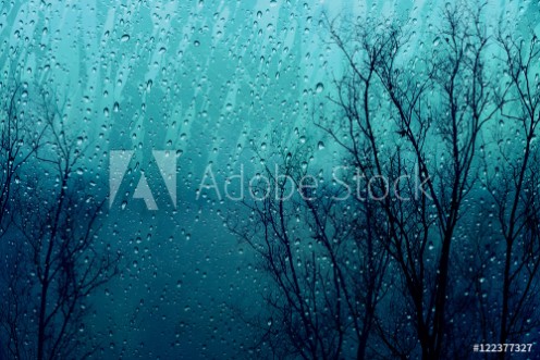 Picture of Rain drop on glass window with Fall Dry Tree Outside Feeling Sadness concept